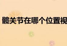 髖關節(jié)在哪個位置視頻（髖關節(jié)在哪個位置）