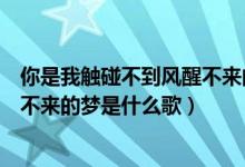 你是我觸碰不到風醒不來的夢文案（你是我觸碰不到的風醒不來的夢是什么歌）