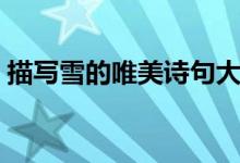 描寫(xiě)雪的唯美詩(shī)句大全(描寫(xiě)雪的唯美詩(shī)句)