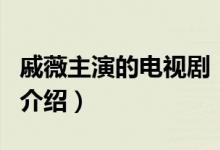 戚薇主演的電視?。P(guān)于戚薇主演的電視劇的介紹）