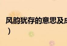風韻猶存的意思及成語解釋(風韻猶存的意思)