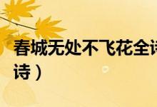 春城無(wú)處不飛花全詩(shī)意思（春城無(wú)處不飛花全詩(shī)）