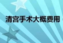 清宮手術(shù)大概費(fèi)用（清宮手術(shù)需要多少錢(qián)）