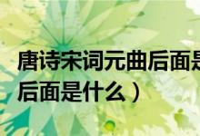 唐詩宋詞元曲后面是什么（唐詩宋詞元曲明清后面是什么）