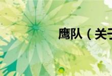 鷹隊（關(guān)于鷹隊的介紹）