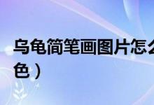 烏龜簡筆畫圖片怎么畫（烏龜簡筆畫圖片帶顏色）