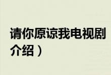 請你原諒我電視?。P(guān)于請你原諒我電視劇的介紹）