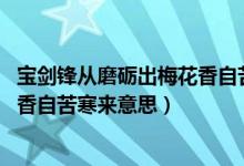寶劍鋒從磨礪出梅花香自苦寒來(lái)哲理（寶劍鋒從磨礪出,梅花香自苦寒來(lái)意思）