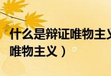 什么是辯證唯物主義的基本觀點(diǎn)(什么是辯證唯物主義)