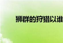 獅群的狩獵以誰(shuí)為主(獅群的狩獵)