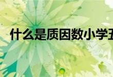 什么是質(zhì)因數(shù)小學(xué)五年級(jí)（什么是質(zhì)因數(shù)）