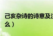 己亥雜詩(shī)的詩(shī)意及注釋?zhuān)汉ルs詩(shī)的詩(shī)意是什么）