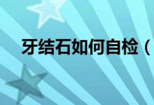 牙結石如何自檢（牙結石如何自己清除）