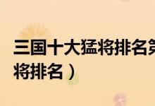 三國(guó)十大猛將排名第一名是趙云（三國(guó)十大猛將排名）