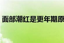 面部潮紅是更年期原因（面部潮紅是什么?。?class=