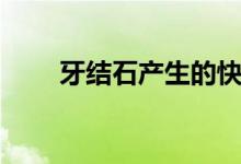 牙結石產(chǎn)生的快（牙結石產(chǎn)生原因）