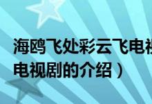 海鷗飛處彩云飛電視?。P(guān)于海鷗飛處彩云飛電視劇的介紹）