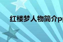 紅樓夢(mèng)人物簡介ppt（紅樓夢(mèng)人物簡介）