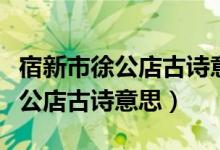 宿新市徐公店古詩(shī)意思四年級(jí)下冊(cè)（宿新市徐公店古詩(shī)意思）