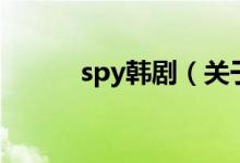 spy韓劇（關(guān)于spy韓劇的介紹）