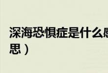 深海恐懼癥是什么感覺(jué)（深?？謶职Y是什么意思）