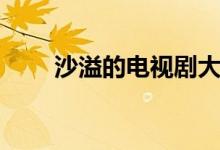 沙溢的電視劇大全（沙溢的電視?。?class=