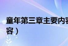 童年第三章主要內(nèi)容簡(jiǎn)寫(xiě)（童年第三章主要內(nèi)容）