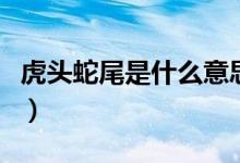 虎頭蛇尾是什么意思?。ɑ㈩^蛇尾是什么意思）