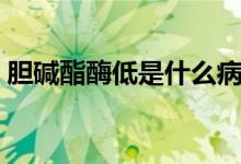 膽堿酯酶低是什么?。憠A酯酶低是什么?。?class=