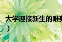 大學(xué)迎接新生的唯美句子（大一開(kāi)學(xué)祝福的話）