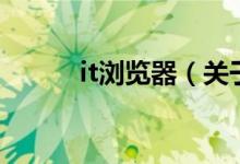 it瀏覽器（關于it瀏覽器的介紹）
