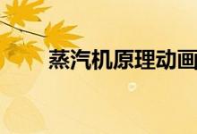 蒸汽機(jī)原理動(dòng)畫(huà)視頻（蒸汽機(jī)原理）