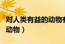 對(duì)人類有益的動(dòng)物有哪些昆蟲（對(duì)人類有益的動(dòng)物）
