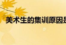 美術(shù)生的集訓原因是什么（一定要參加嗎）