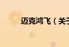 邁克鴻飛（關于邁克鴻飛的介紹）