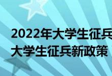 2022年大學生征兵政策解讀整理版（2022年大學生征兵新政策）