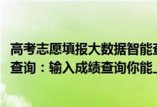 高考志愿填報大數(shù)據(jù)智能查詢系統(tǒng)（2022年高考志愿大數(shù)據(jù)查詢：輸入成績查詢你能上的大學）