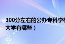 300分左右的公辦專科學(xué)校（2022年300分左右的公辦?？拼髮W(xué)有哪些）