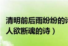 清明前后雨紛紛的詩(shī)（清明時(shí)節(jié)雨紛紛路上行人欲斷魂的詩(shī)）