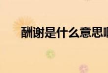 酬謝是什么意思?。ǔ曛x是什么意思）