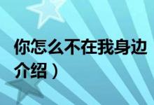 你怎么不在我身邊（關于你怎么不在我身邊的介紹）