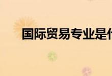國(guó)際貿(mào)易專業(yè)是什么（能做什么工作）