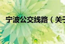 寧波公交線路（關于寧波公交線路的介紹）
