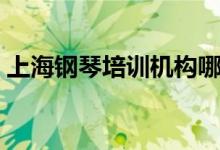 上海鋼琴培訓(xùn)機構(gòu)哪家好(怎么選擇培訓(xùn)班)