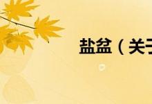 鹽盆（關于鹽盆的介紹）