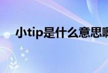 小tip是什么意思?。ㄐIP是什么意思）