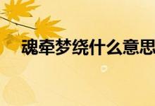 魂?duì)繅?mèng)繞什么意思（魂?duì)繅?mèng)繞什么意思）