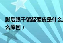 腳后跟干裂起硬皮是什么原因呢（腳后跟干裂、起硬皮是什么原因）