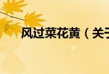 風過菜花黃（關于風過菜花黃的介紹）