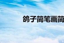 鴿子簡(jiǎn)筆畫(huà)簡(jiǎn)單（鴿子簡(jiǎn)筆畫(huà)）
